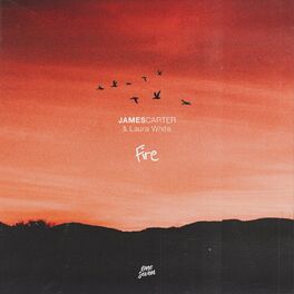 Album cover of Fire
