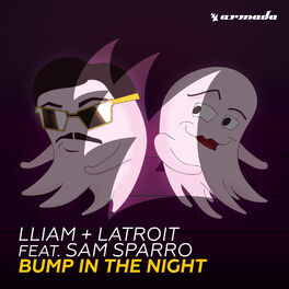 Album cover of Bump In The Night
