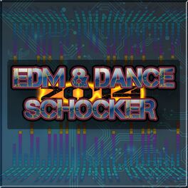 Album cover of EDM and Dance Schocker 2014