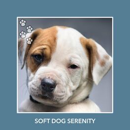 Album cover of Soft Dog Serenity