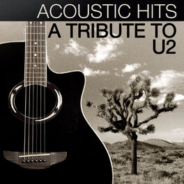 Album picture of Acoustic Hits: A Tribute to U2