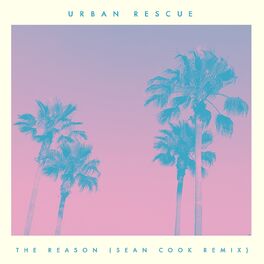 Album cover of The Reason (Sean Cook Remix)