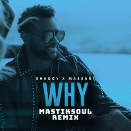 Album cover of Why (Mastiksoul Remix)