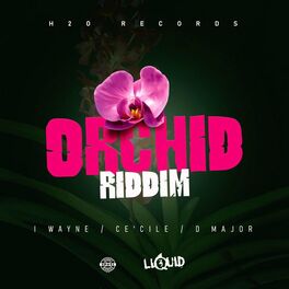 Album cover of Orchid Riddim