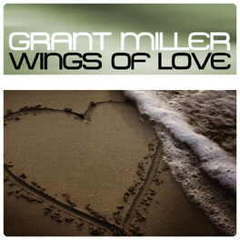 Album cover of Wings Of Love