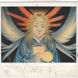 Album cover of Fly