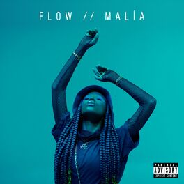 Album cover of FLOW