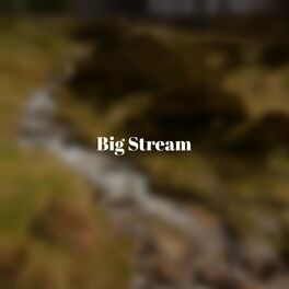 Album cover of Big Stream