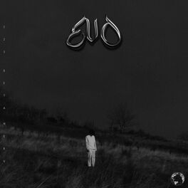 Album cover of EVO