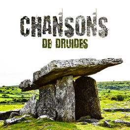 Album cover of Chansons de druides - Musique celtique spirituelle, Contemplations avec des flûtes et harpe calmantes, Relaxation pour l'âme