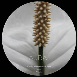 Album cover of Sonic Metamorphosis (Arl002)
