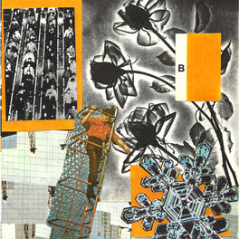 Album cover of Saturniidae