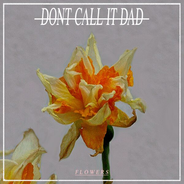 Don't Call It Dad - Flowers (2019)