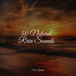 Album cover of 50 Calming Rain Sounds for Meditation and Sleep