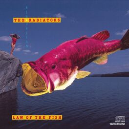 Album cover of Law Of The Fish