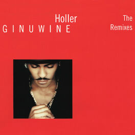 Album cover of Holler - The Remixes