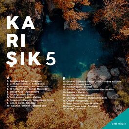 Album cover of Karışık 5