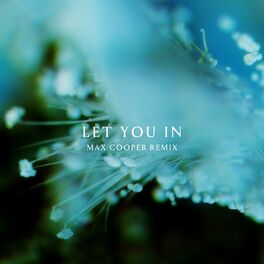Album cover of Let You In (Max Cooper Remix)
