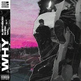 Album cover of WHY