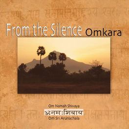 Album cover of From the Silence