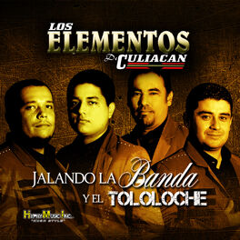 Album cover of Jalando la Banda y el Tololoche