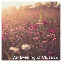 Album cover of An Evening of Classical: Liszt