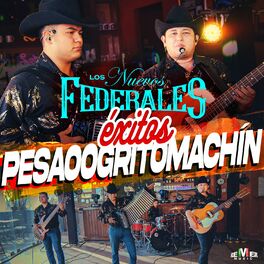 Album cover of Éxitos Pesaoogritomachín (En Vivo)
