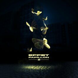 Album cover of Effet papillon 2