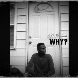 Album cover of WHY? (feat. Jurrivh)