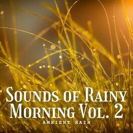 Album cover of Ambient Rain: Sounds of Rainy Morning Vol. 2