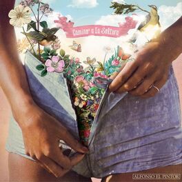 Album cover of Camino a la Soltura