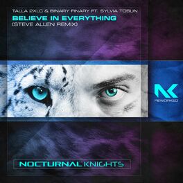 Album cover of Believe in Everything (Steve Allen Remix)