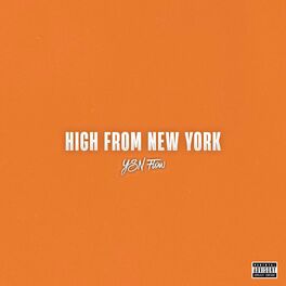 Album cover of High From New York