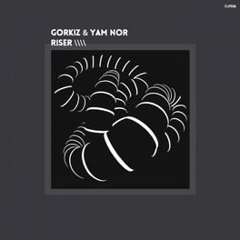 Album cover of Riser