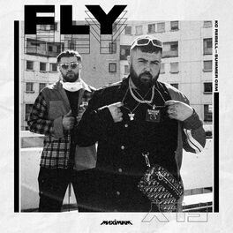 Album picture of FLY