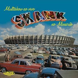 Album cover of Multishow Ao Vivo - Skank no Mineirão