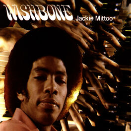 Album cover of Wishbone
