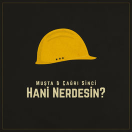Album cover of Hani Nerdesin?
