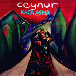 Album cover of Kafa Açma