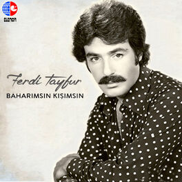 Album cover of Baharımsın Kışımsın