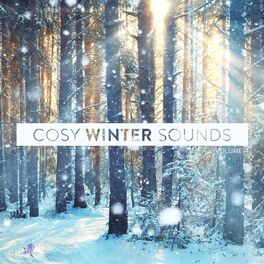 Album cover of Cosy Winter Sounds, Vol. 4
