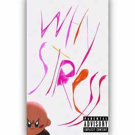 Album cover of WHY STRESS