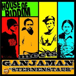 Album cover of Sternenstaub