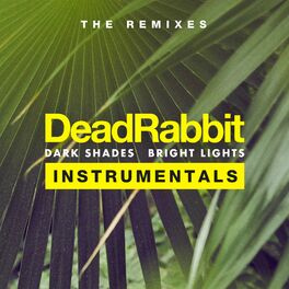 Album cover of Dark Shades / Bright Lights - The Remixes Instrumentals