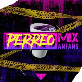 Album cover of Perreo Mix Antaño