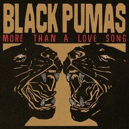 Album cover of More Than a Love Song