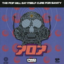 Album cover of Cure For Sanity