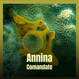 Album cover of Annina Comandate