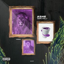 Album picture of Ashe Tape, Vol. 1