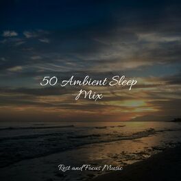 Album cover of 50 Ambient Sleep Mix